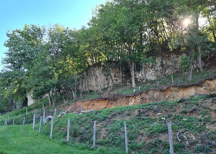 Le Séchoir Des Acacias, Gite: Les Falaises * Saint-Leon-sur-Vezere